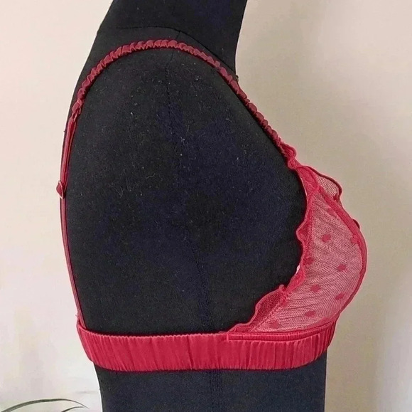 NWT Miiyu Red Hearts Bralette XS Bra - Picture 11 of 12